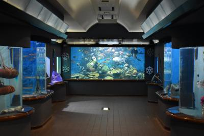 渋川マリン水族館の水槽展示
